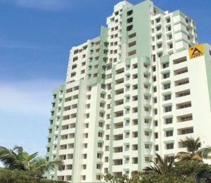 Asset E Scape