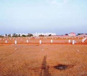Abhinandana Sai Brundavan Gold