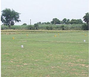 Abhinandana Sai Brundavan Premium