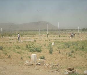 Rajasthan Royal Habitat