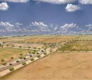 Fortune NRI Township