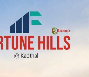 Fortune Hills