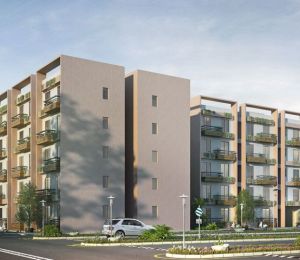 Swayam City