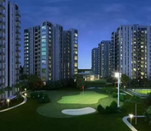 Silverglades Melia First Citizen