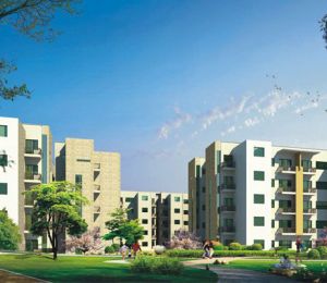 Omaxe Naffhil Homes