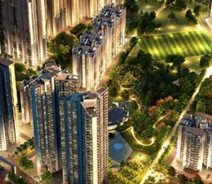 Lotus Parkscape