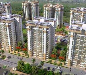 Shree Flora