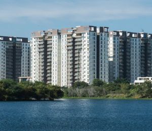 SJR Water Mark
