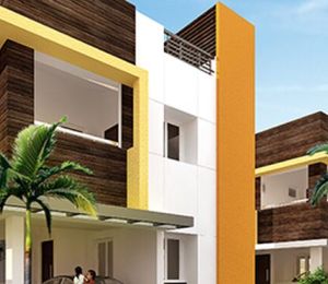 Advaitaa Orange Blossom
