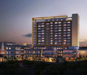 Orris Market City