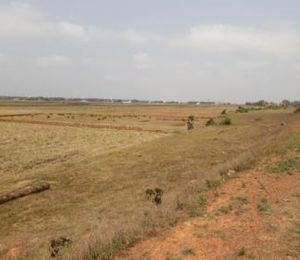 SRB Sri Jagannath Vihar III