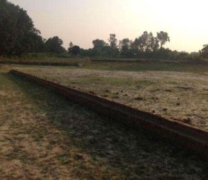 Vasundhara Carnation Valley
