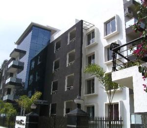 Trine Palm Heights