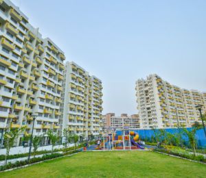 Kolte Patil Three Jewel Moonstone
