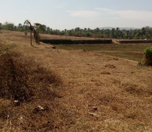 Chathamkulam Rail City