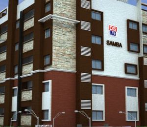 DS Max Samba