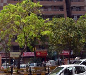 Amrapali Vaishali