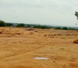 Chennamaneni Bharathi Meadows