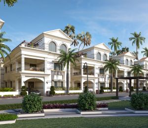 CPR Golden Palms