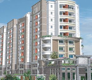Radiance Ivy Terrace