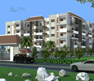 Hilife Pearl Shell