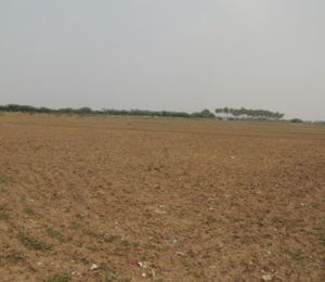 Jindal Global City Plots