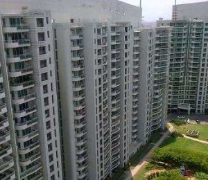 DLF ICON