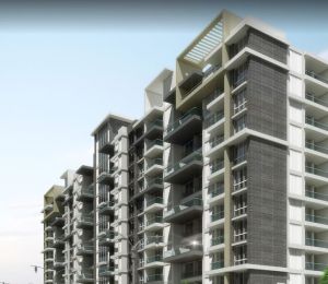 Wallfort Elegante