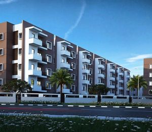 Mahaveer Turquoise