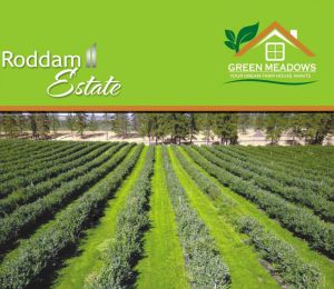 Green Meadows