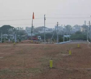 Hari Hara - 2