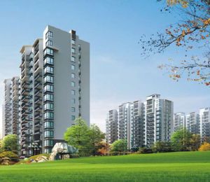 Aman Heights