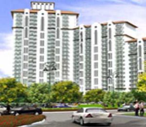 New Town Heights