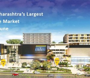 Maha Trade Market