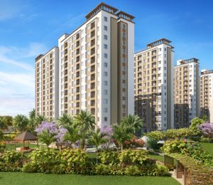 Codename Newporur