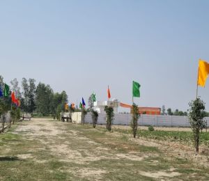 Rama Oxy Farms