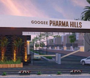 Googee Pharma Hills
