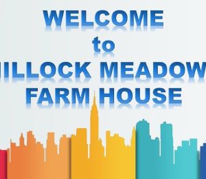 Hillock Meadows Farms