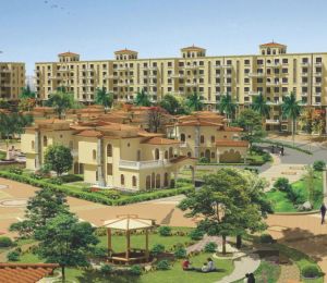 Maruti Lifestyle