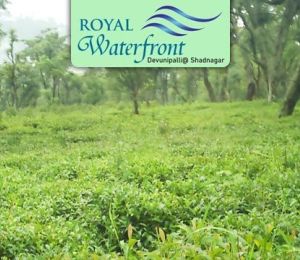 Royal Waterfront