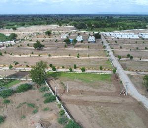 Gardenia Phase II