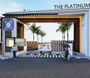 The Platinum Phase 1