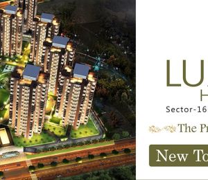 RG Luxury Homes