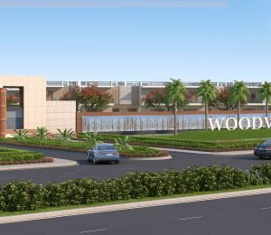 Orris Woodview
