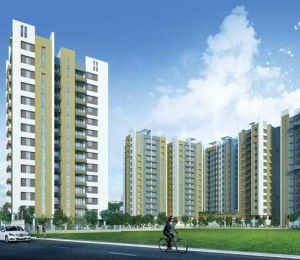 Aurum Apartment