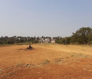 Shraddha Orchard