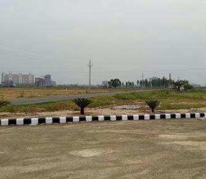 Baba Posh City