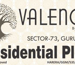The Valencia