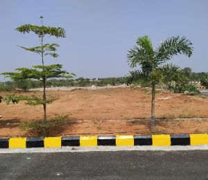 Esr Heights