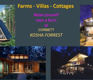 Corbett Kosha Forrest